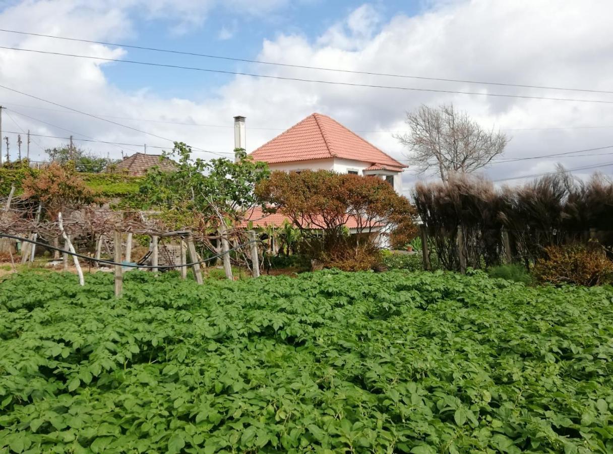 Avo Lucindinha House - Porto Moniz Villa Exterior photo